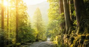 独立して家族との時間を増やすには？一人社長が決めた仕事のルール