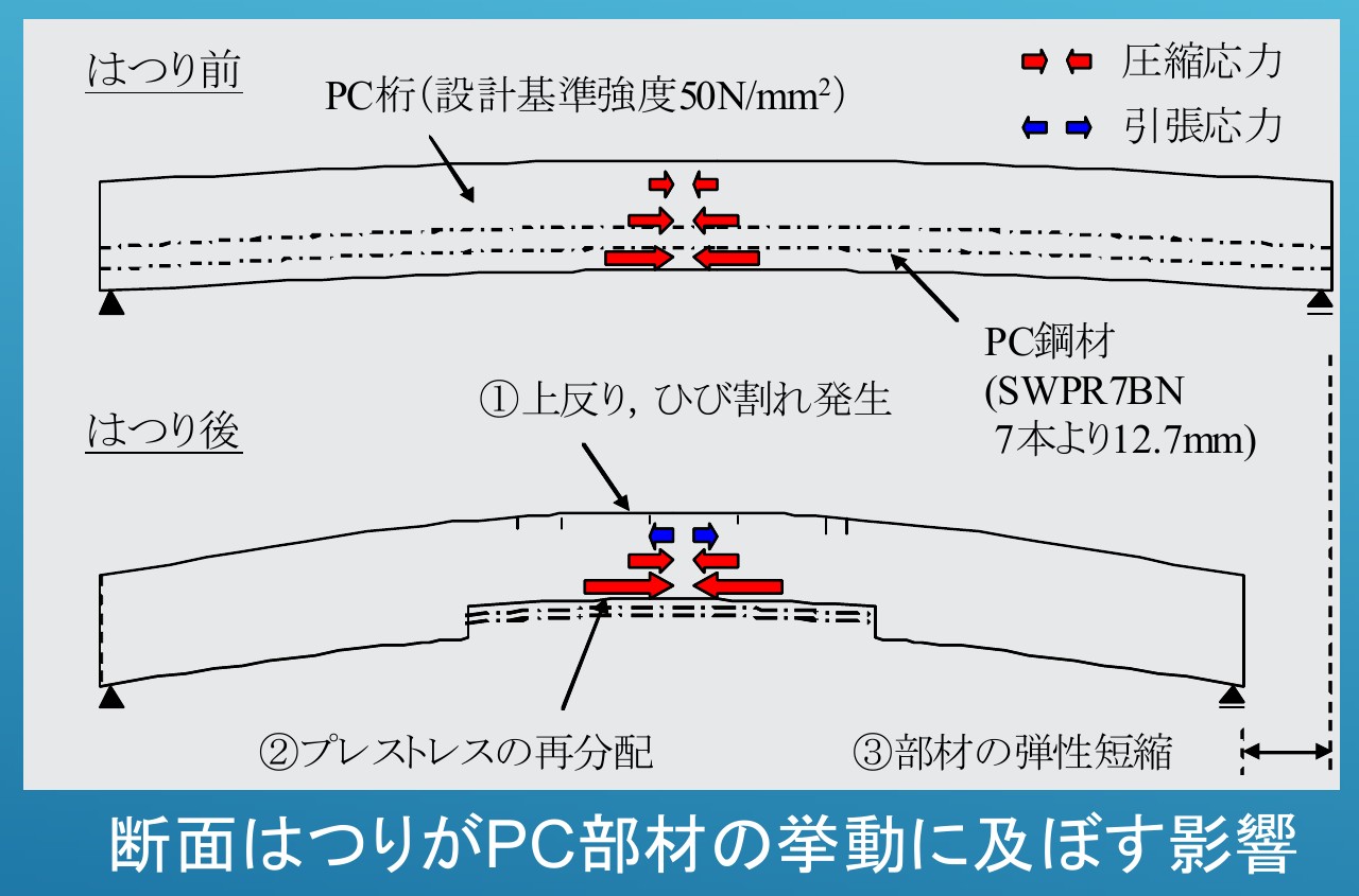 断面はつりがPC部材の挙動に及ぼす影響（上反り・ひび割れ、プレストレスの再分配、弾性短縮）