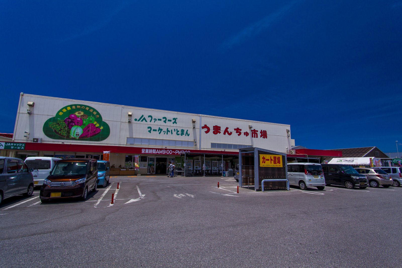 うまんちゅ市場の全景