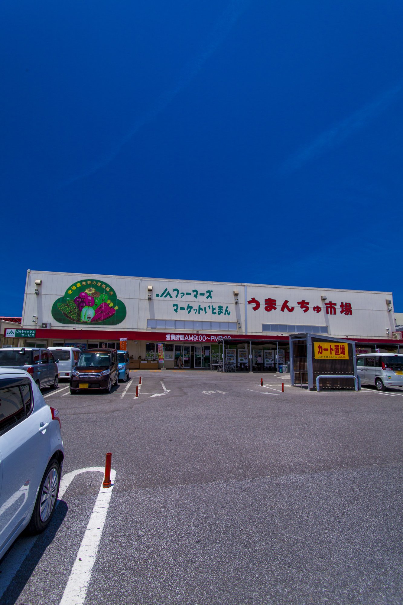 うまんちゅ市場（縦）