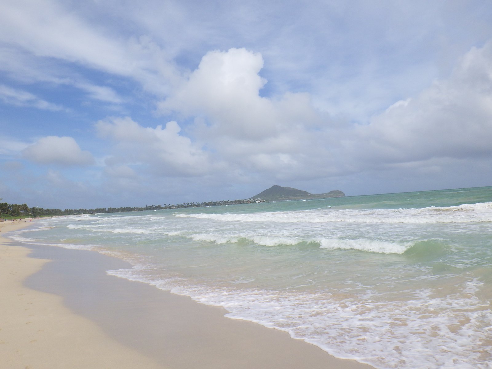 ハワイの海